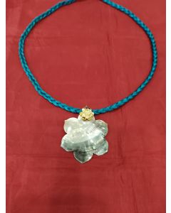 Shell Pendant