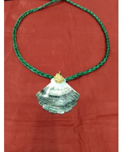 Shell Pendant