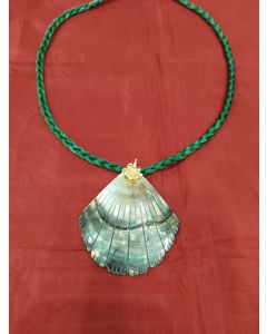 Shell Pendant